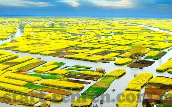 mk体育在线登录入口-MK体育，一键直达精彩，畅享在线娱乐