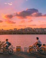 mk体育中国官网-MK体育中国官网，体育竞技的激情与梦想的舞台